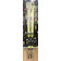 Fischer Aircarbon Titanium Worldcup RC4 GS RCcode 183