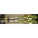 Fischer  Worldcup GS 163